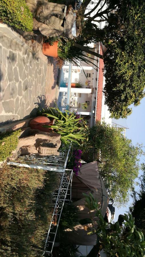 Hotel La Baronesa Текуискуиапан Екстериор снимка